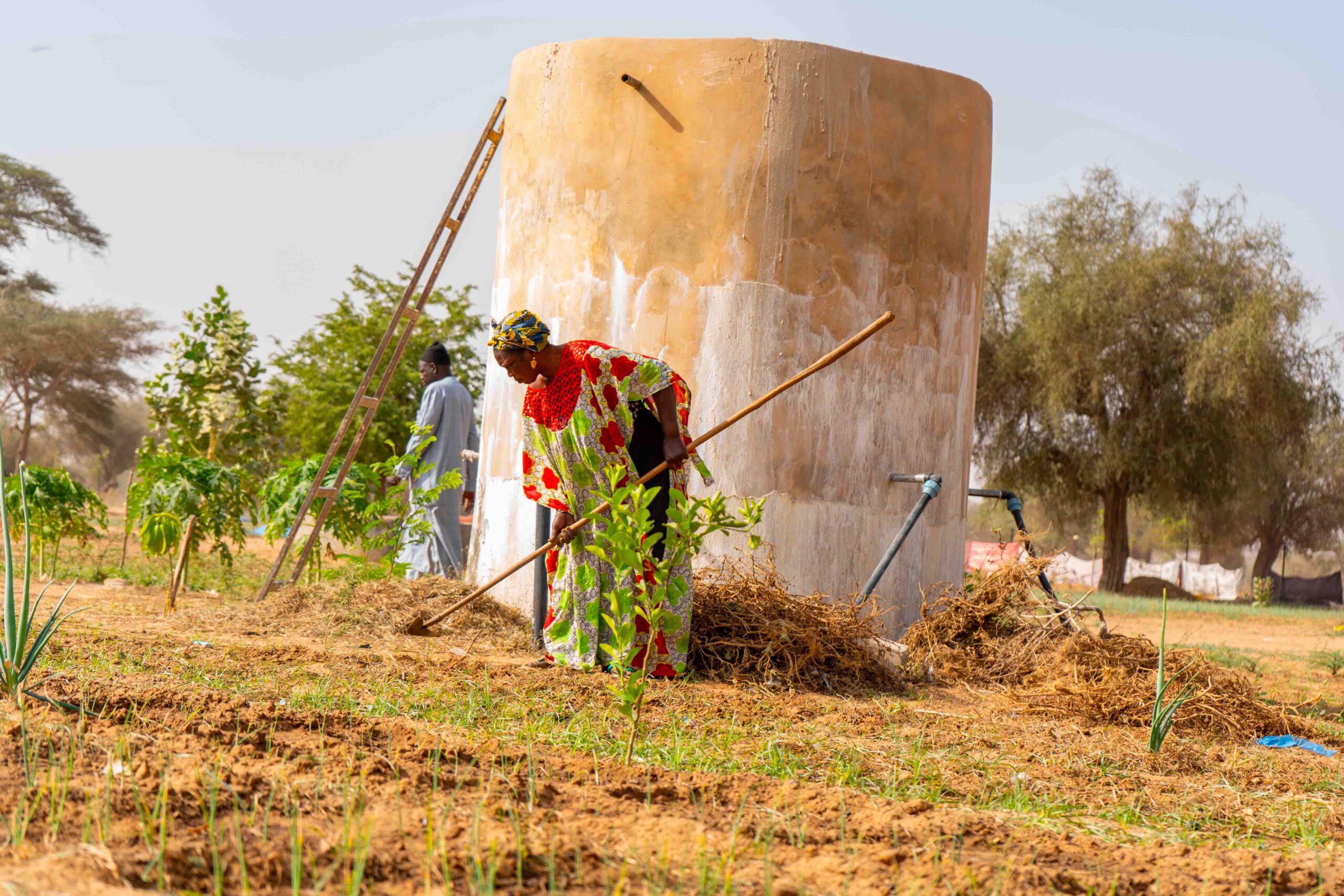 Parcelle maraichère à Meckhé
